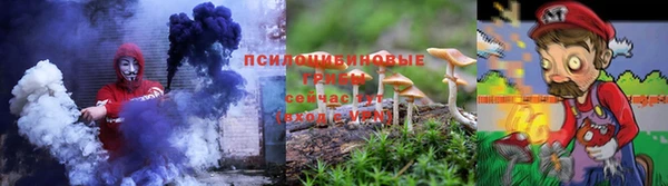 МДПВ Михайловка