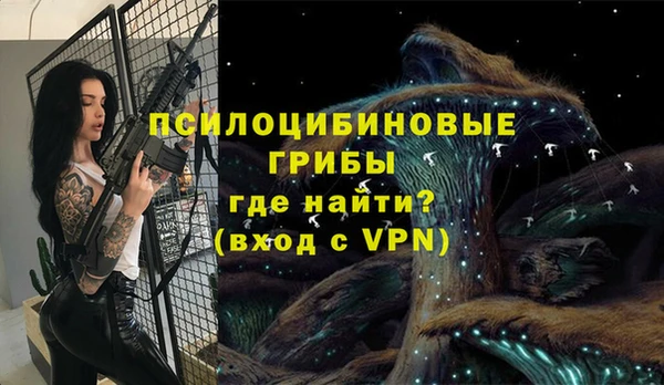 кокс Михайлов