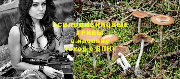 прущие крисы Навашино